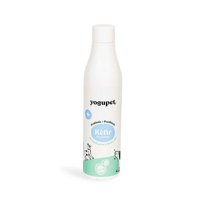 Kefir Arándanos y Brócoli 200ml