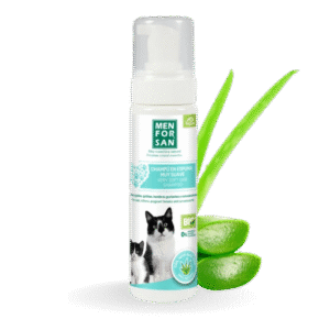Champú espuma seca Men For San con Aleo Vera Gato 200ml